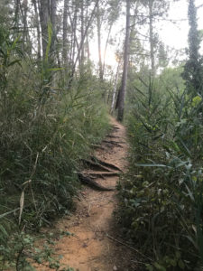 plan d'eau en provence 2